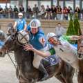 Horse Ball