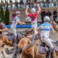 Horse Ball