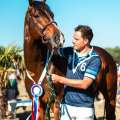 Horse Ball