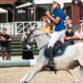 Horse Ball