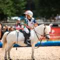 Horse Ball