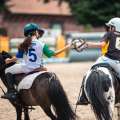 Horse Ball