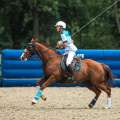 Horse Ball