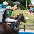 Horse Ball