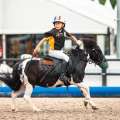 Horse Ball