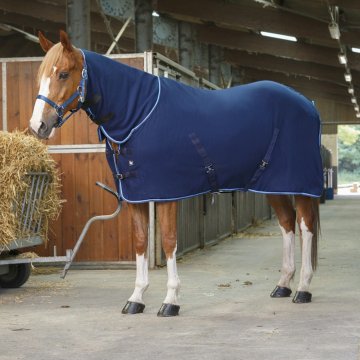 Horse Ball boutique