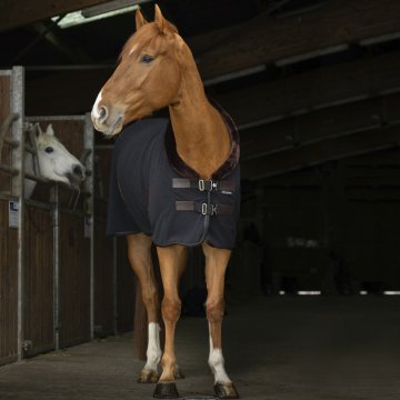 Chemises Chemise polaire TEDDY