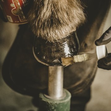 Soins des sabots Huile pour sabots KEVIN BACON'S Hoof Dressing - Liquide