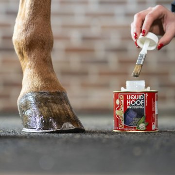 Soins des sabots Huile pour sabots KEVIN BACON'S Hoof Dressing - Liquide
