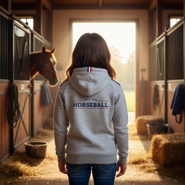 Pull, sweat Sweat ZIP Tricolore