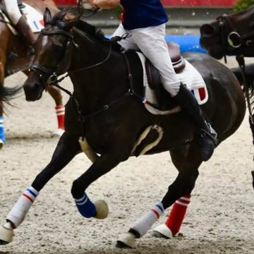DOLROSE - 12ans - AQPS DOLROSE - 12ans - AQPS