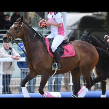 DOLROSE - 12ans - AQPS DOLROSE - 12ans - AQPS