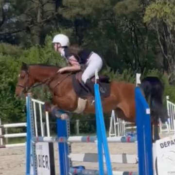 ZULU FAY - 10ans - Arabe ZULU FAY - 10ans - Poney Arabe