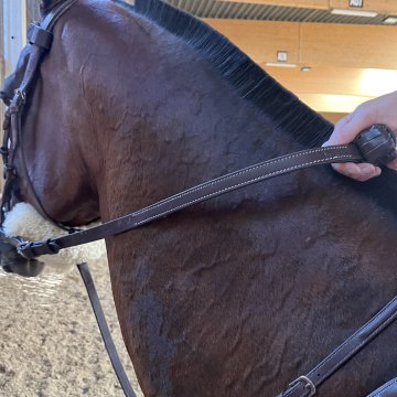 Rênes Rênes horse ball
