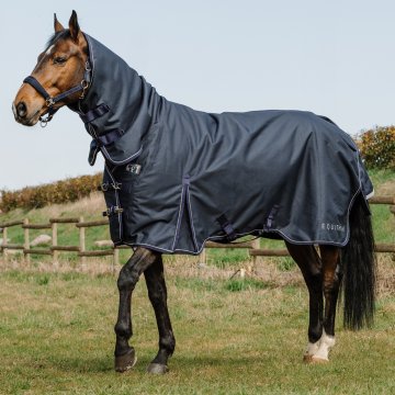 Boutique Horse-Ball