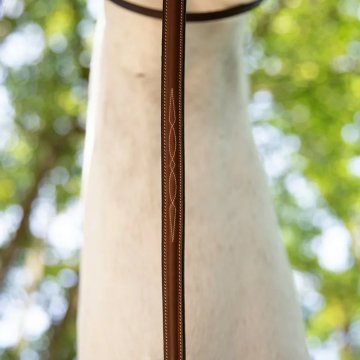 Martingales Martingale fixe Antares