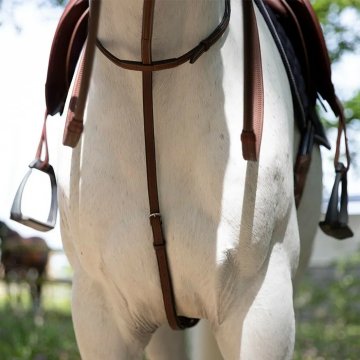 Martingales Martingale fixe Antares