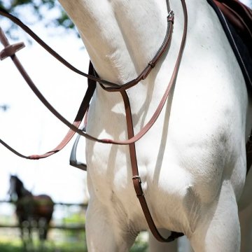 Martingales Martingale fixe Antares