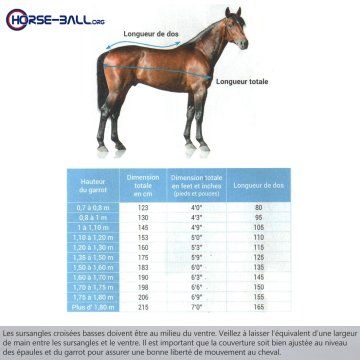 Chemises Couverture polaire Antares