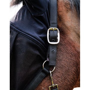 Licols synthétiques Licol + masque