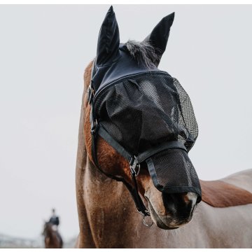 Licols synthétiques Licol + masque