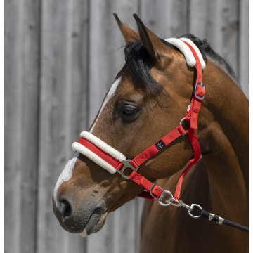 Licols synthétiques Licol RW