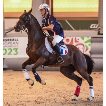 Polos Polo - FRANCE 2026