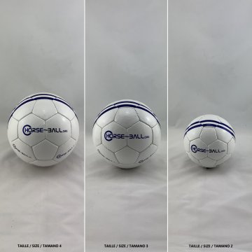 Ballons Ballon T4, T3, T2 (sans harnais)