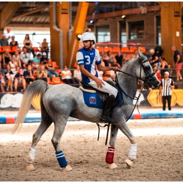 Horse Ball boutique
