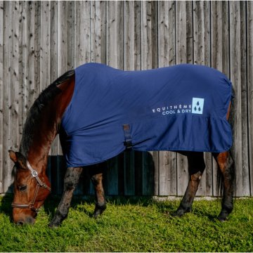 Horse Ball boutique