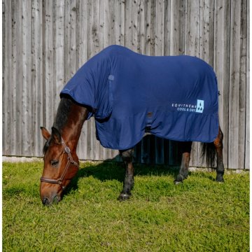 Horse Ball boutique