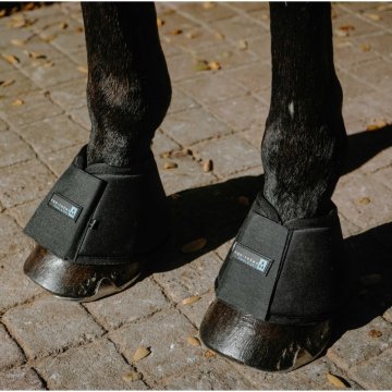 Horse Ball boutique