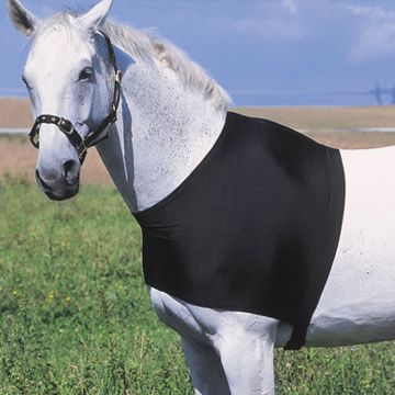 Horse Ball boutique