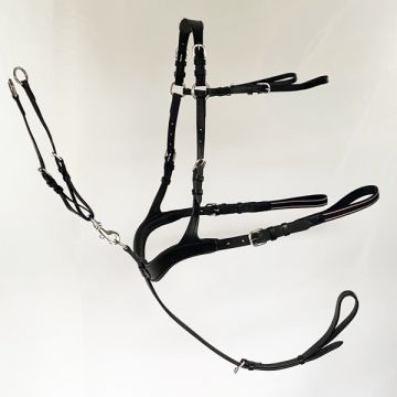 Boutique Horse-Ball