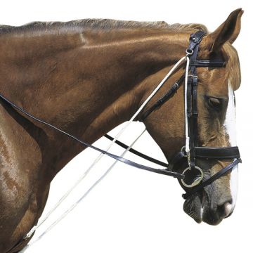 Horse Ball boutique