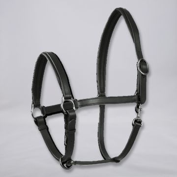 Boutique Horse-Ball