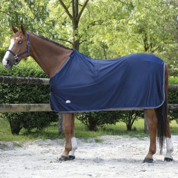Horse Ball boutique