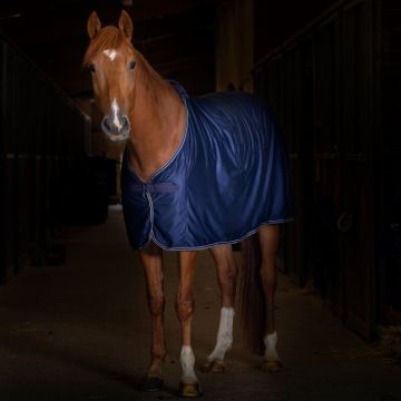 Horse Ball boutique