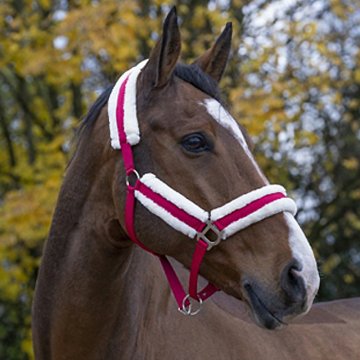 Horse Ball boutique
