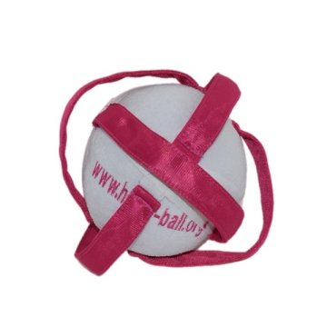 Mini buts de horse ball But de chambre et peluche